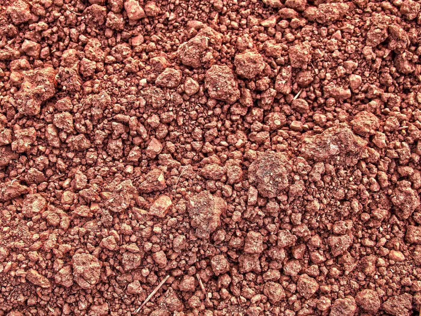Terrones de tierra arcillosa rojiza, como la del destape