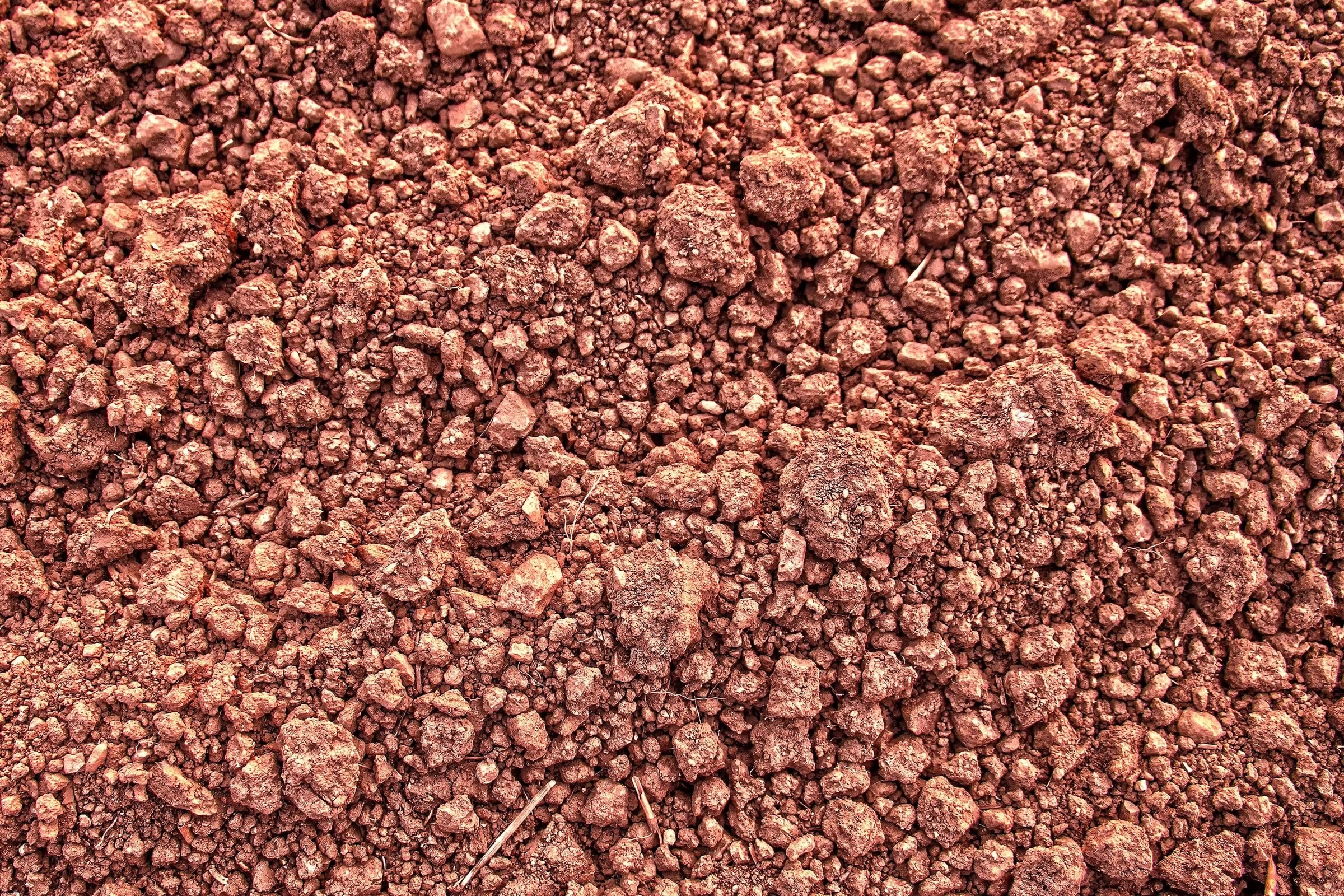 Terrones de tierra arcillosa rojiza, como la del destape